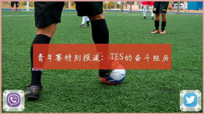 青年赛特别报道：TES的奋斗经历