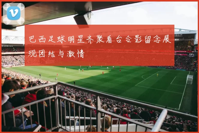 巴西足球明星齐聚看台合影留念展现团结与激情