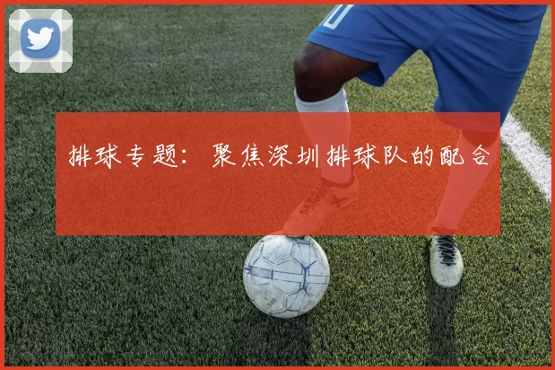 排球专题：聚焦深圳排球队的配合