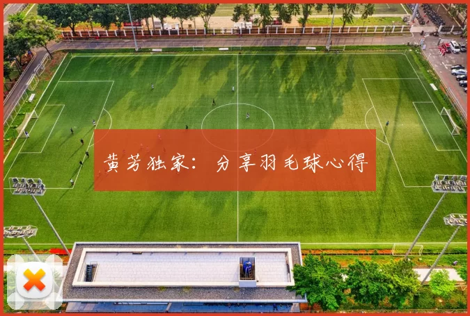 黄芳独家：分享羽毛球心得