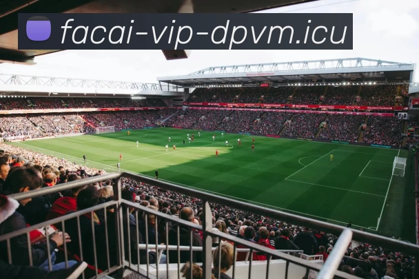 爱游戏体育发展历程