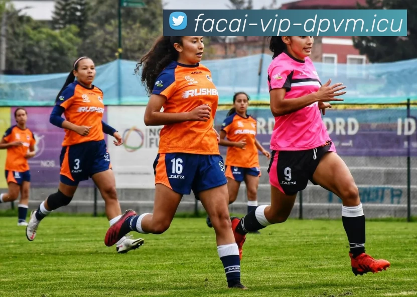 排球专题：聚焦深圳排球队的配合